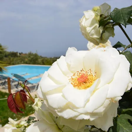 Hotel Farm Mikro Metochi